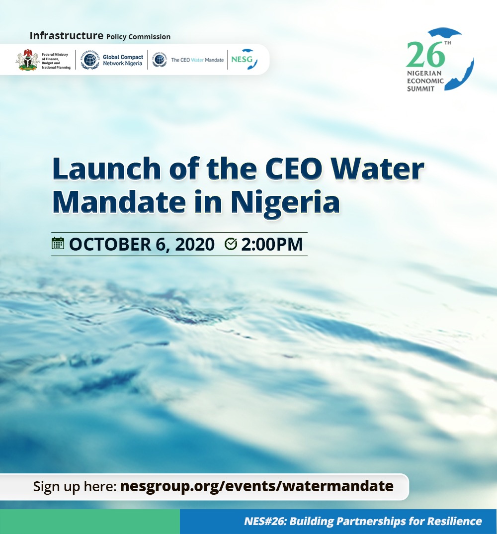NESG, UNGC Launch the CEO Water Mandate in Nigeria